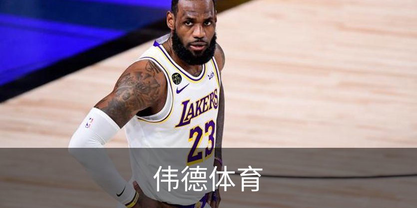 伟德体育概况
